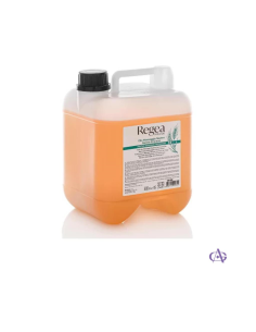 REGEA Olio Massaggio neutro al Germe di Grano – 5L - Vendita online | 