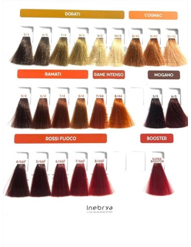 Inebrya colore permanente per capelli 100ml - Vendita online | aligioc